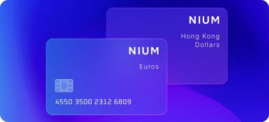 India flag and payment illustration