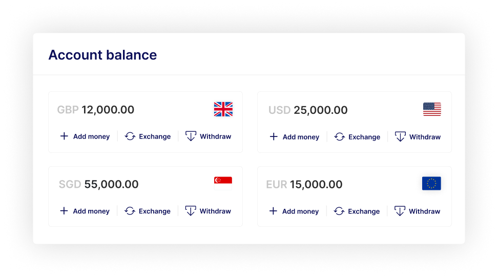 Payin Account Balance Mockup