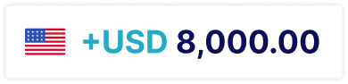 USD Currency Icon